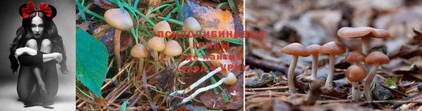 гашиш Балахна