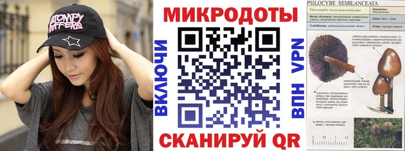 mega сайт  Зверево  Псилоцибиновые грибы Psilocybine cubensis 